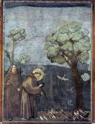 Legend of St Francis 15. Sermon to the Birds.jpg